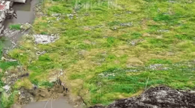 Screenshot_2026_0216_122006